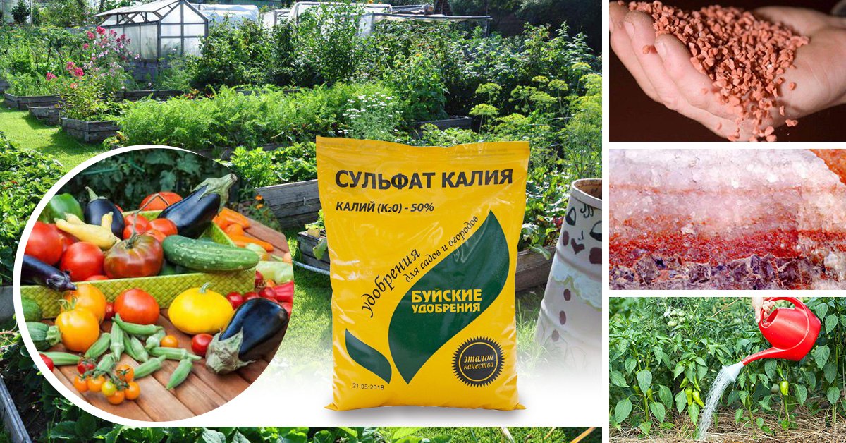 Хлористый калий инструкция по применению удобрения на огороде